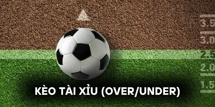 Kèo Tài Xỉu - Hướng dẫn đọc kèo cực chuẩn dễ thắng lớn